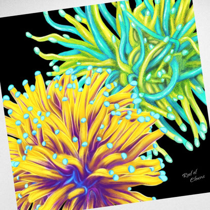 Torch Coral Garden