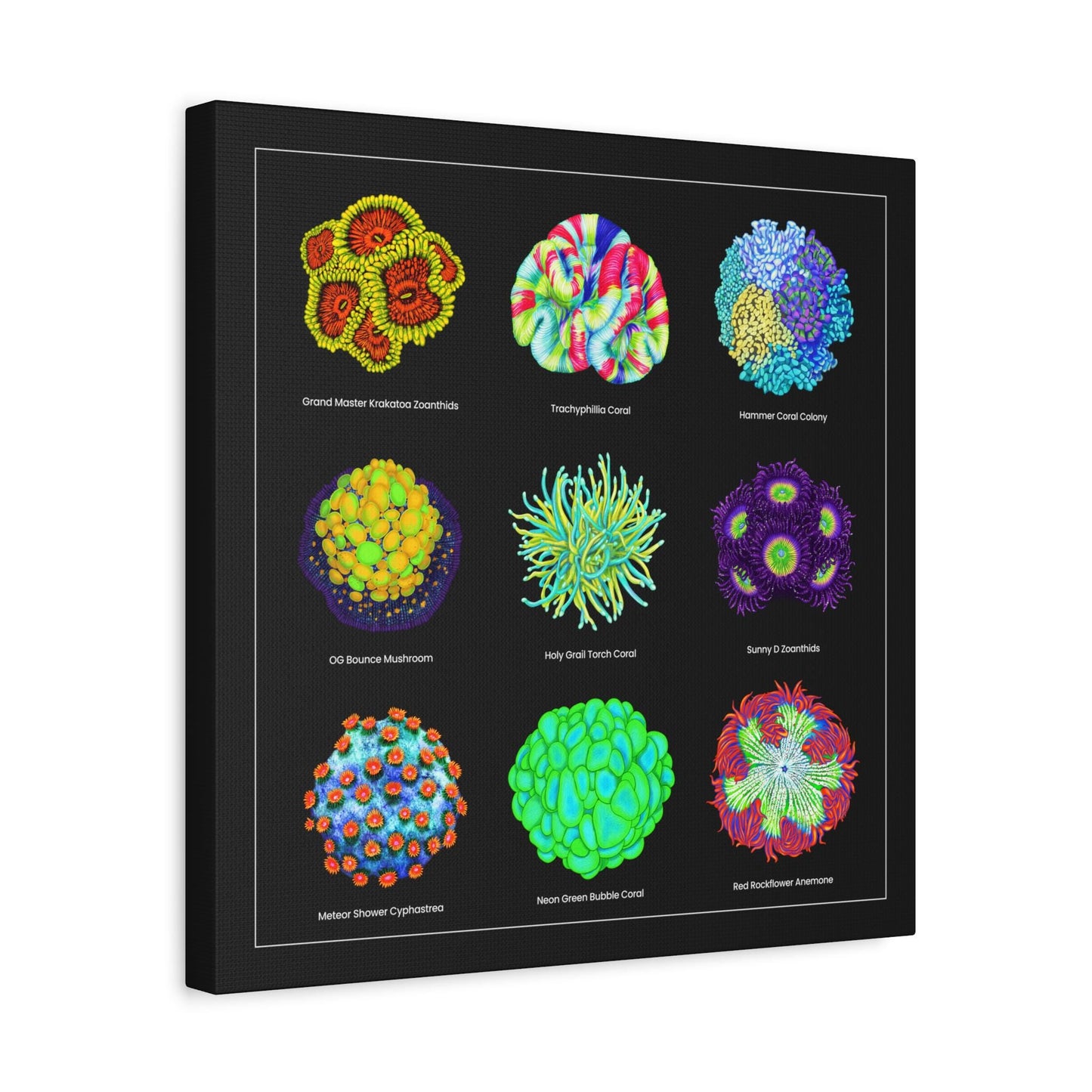 Reef Coral Canvas Wall Art