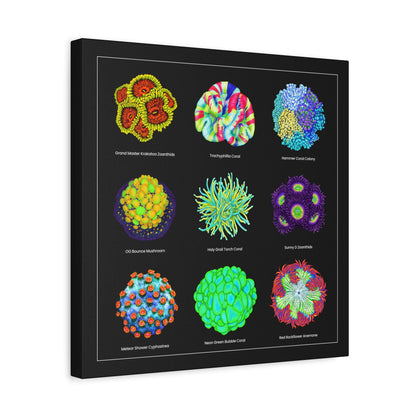 Reef Coral Canvas Wall Art