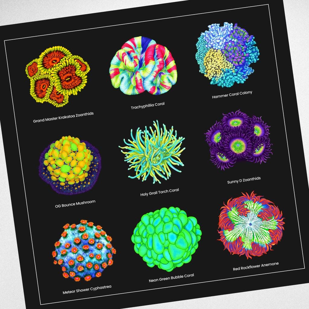 Reef Coral Canvas Wall Art