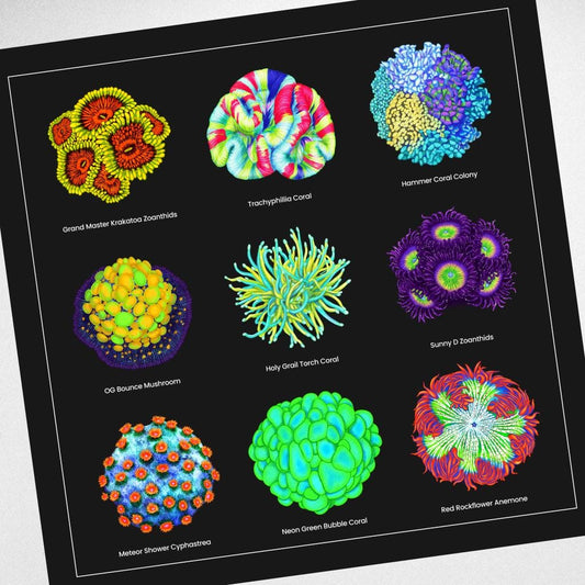 Reef Coral Canvas Wall Art