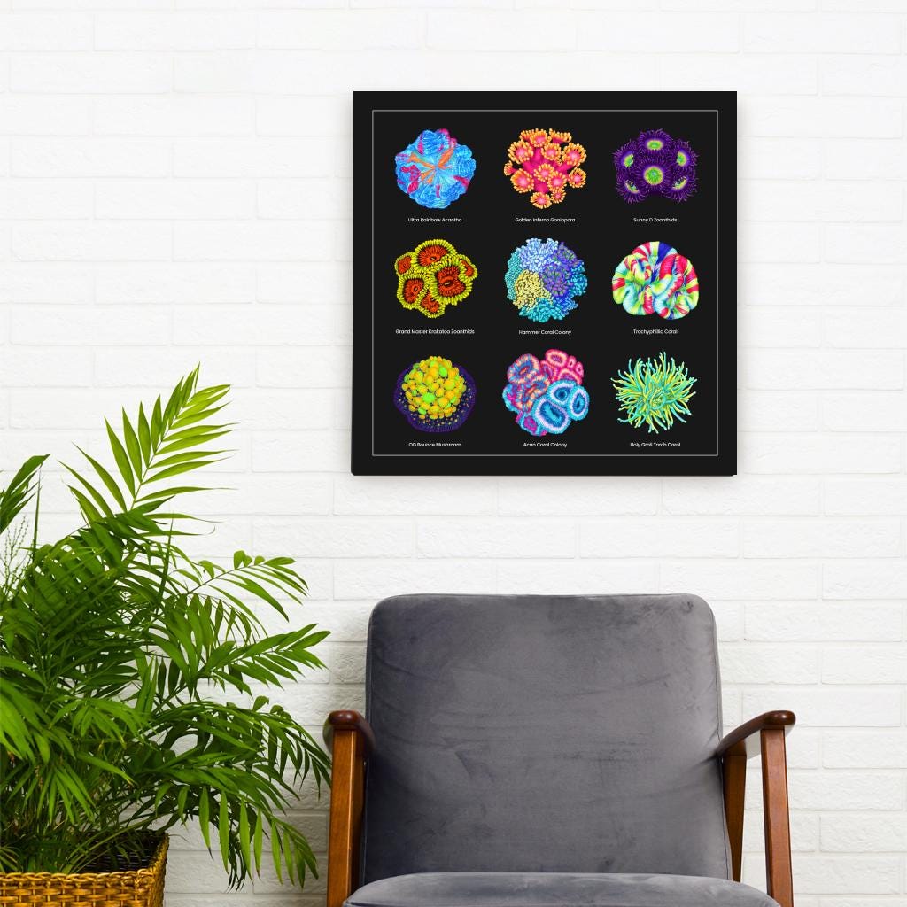 Reef Coral v2 Canvas Wall Art
