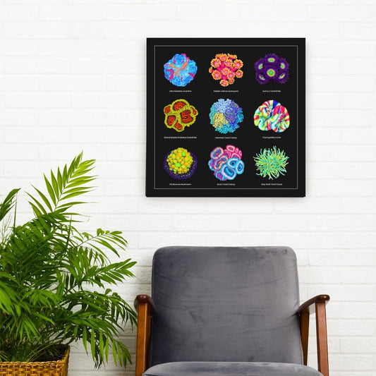 Reef Coral v2 Canvas Wall Art