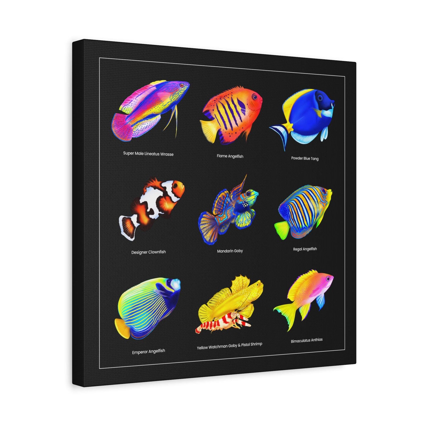 Reef Fish Canvas Wall Art
