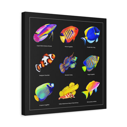 Reef Fish Canvas Wall Art