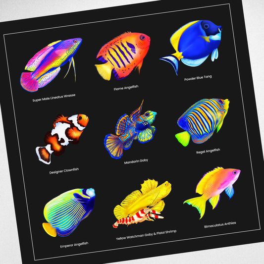 Reef Fish Canvas Wall Art