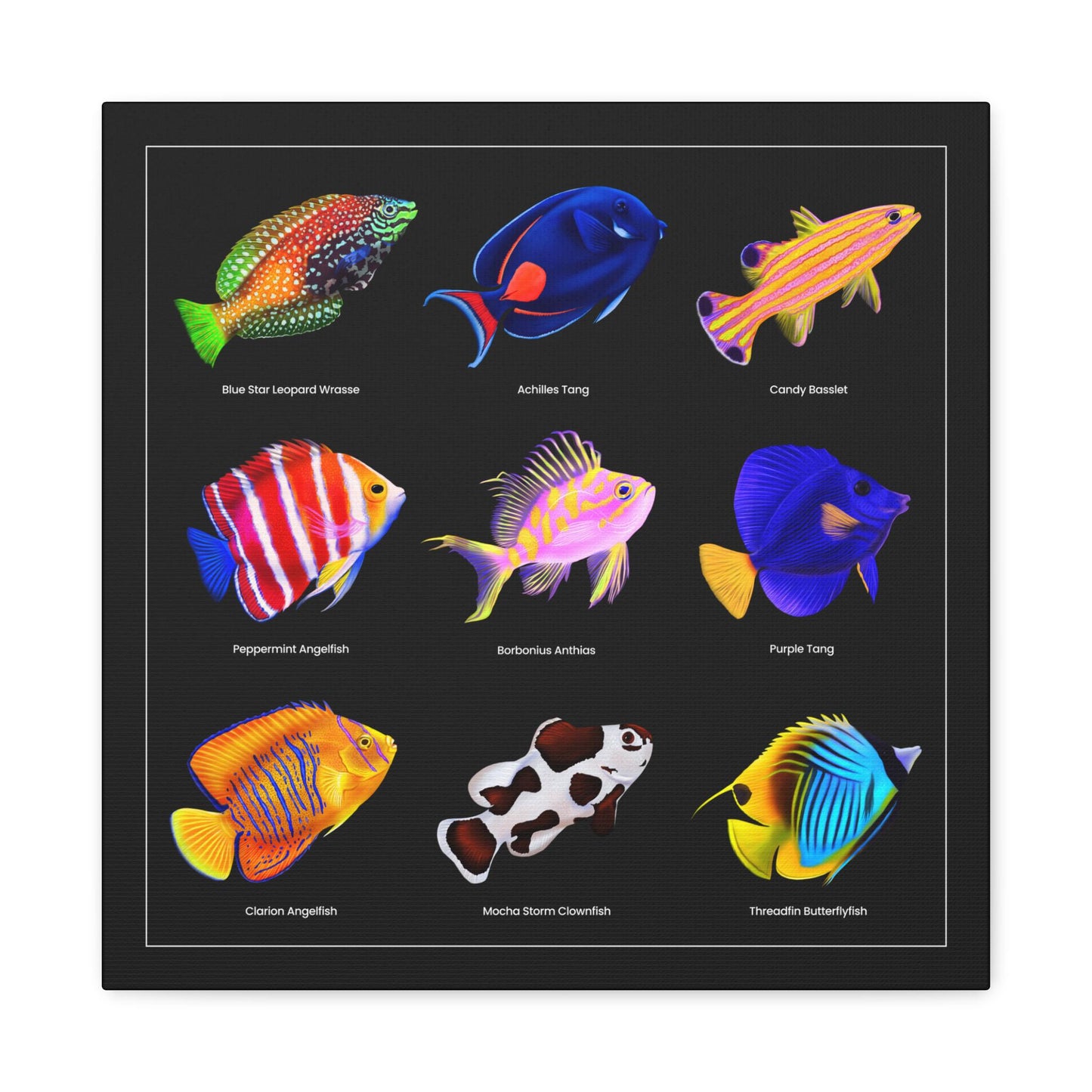 Rare Reef Fish Canvas Wall Art