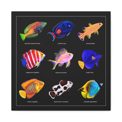 Rare Reef Fish Canvas Wall Art