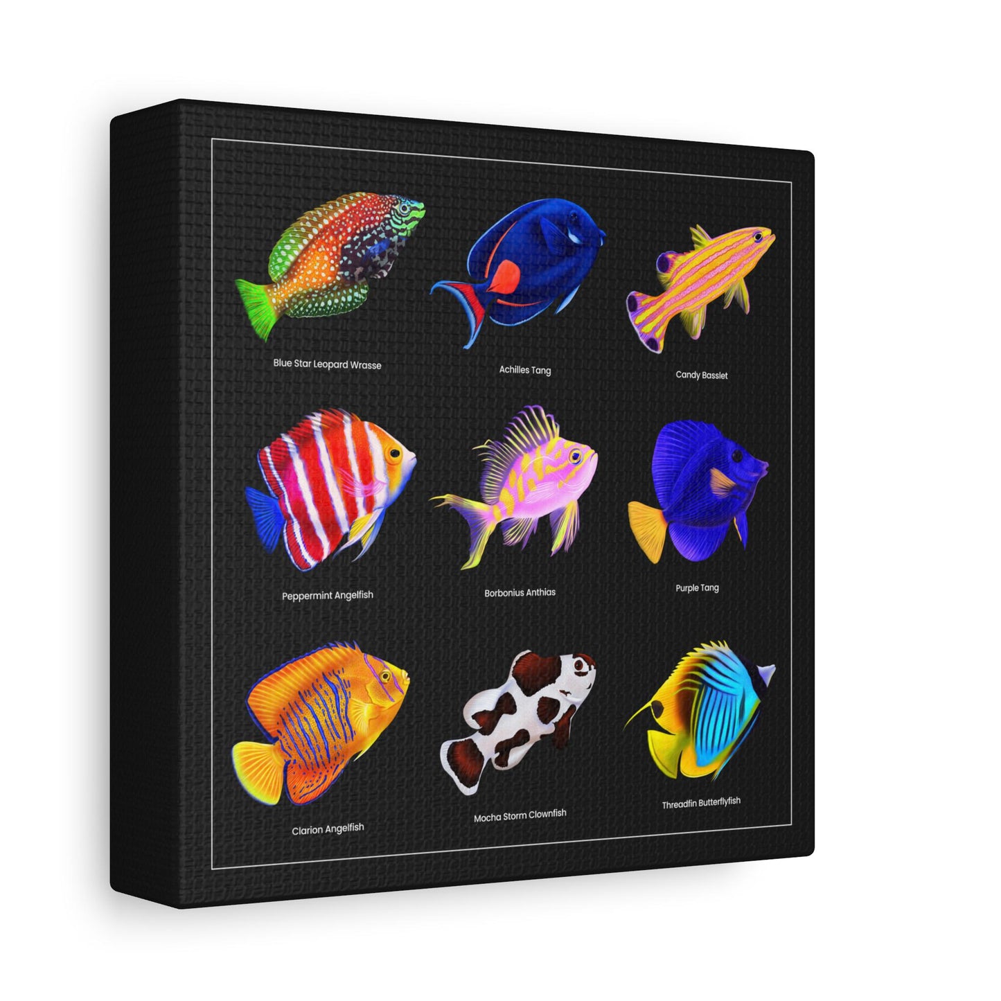 Rare Reef Fish Canvas Wall Art