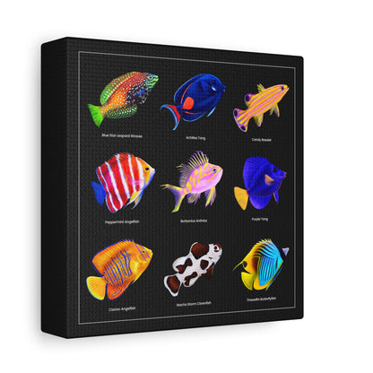 Rare Reef Fish Canvas Wall Art