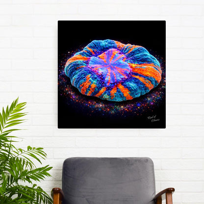 Meat Coral