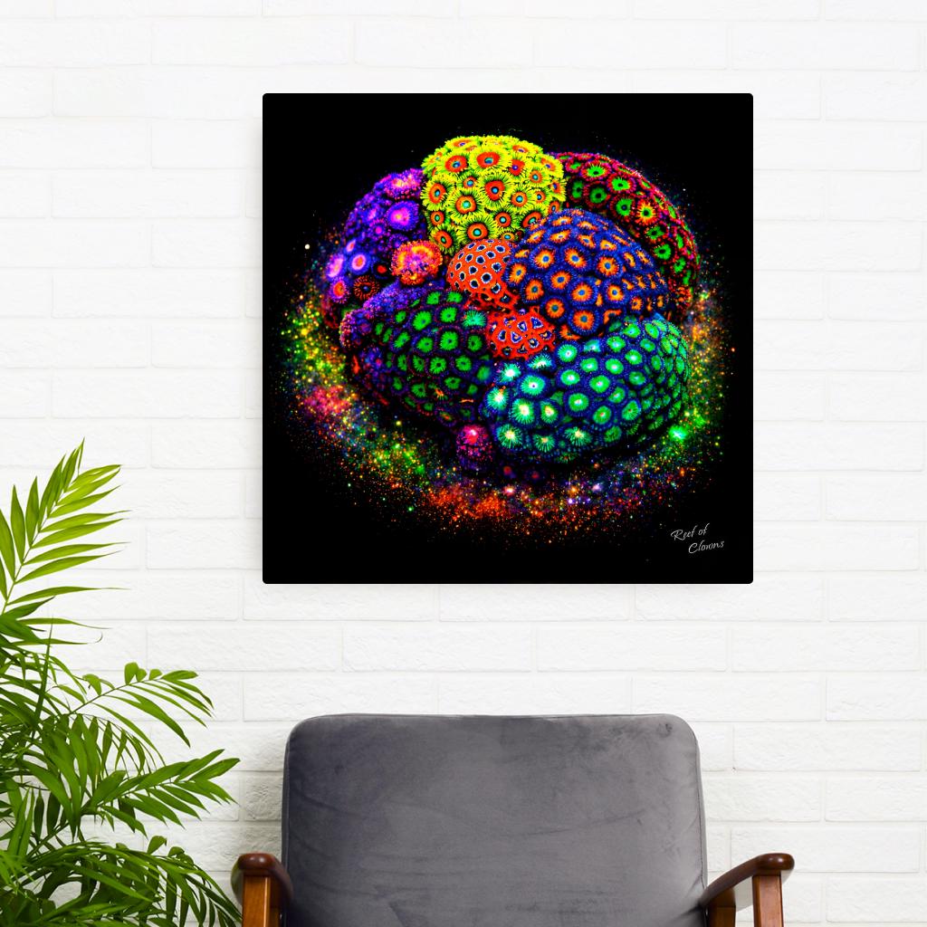 Zoanthid Coral Colony