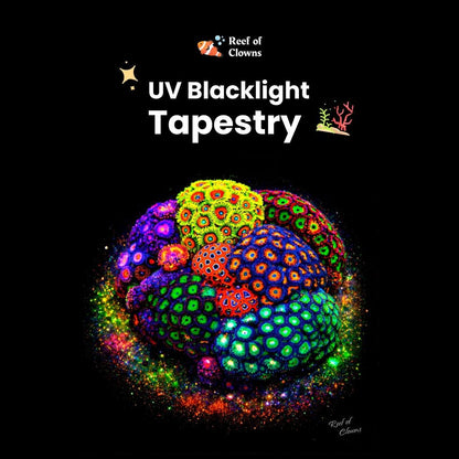 Zoanthid Coral Colony