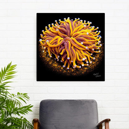 24K Gold Torch Coral