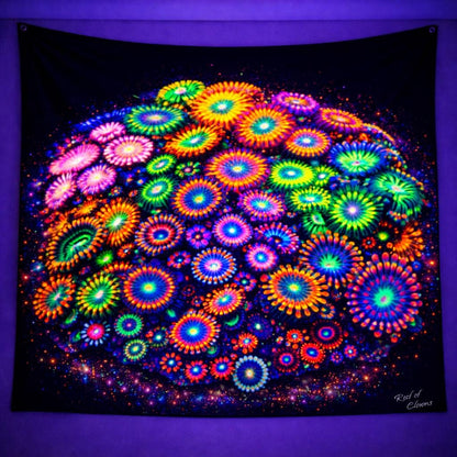 Zoanthid Coral Garden