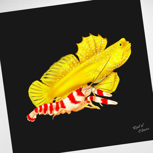 Watchman Goby and Pistol Shrimp Pair Canvas Wall Art