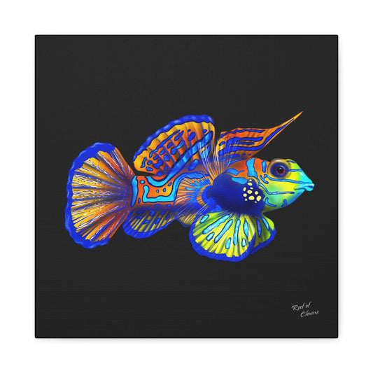 Mandarin Goby Canvas Wall Art