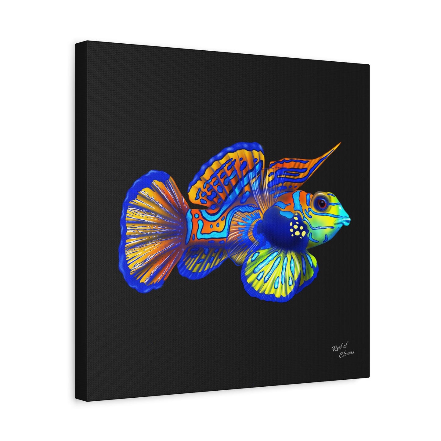 Mandarin Goby Canvas Wall Art