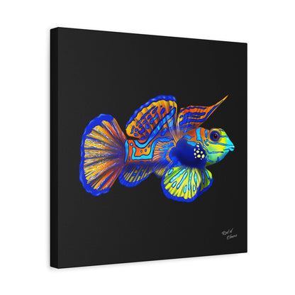 Mandarin Goby Canvas Wall Art