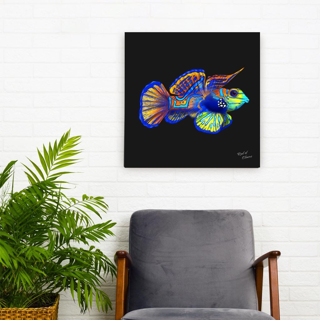 Mandarin Goby Canvas Wall Art