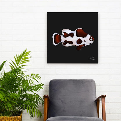 Mocha Storm Clownfish Canvas Wall Art