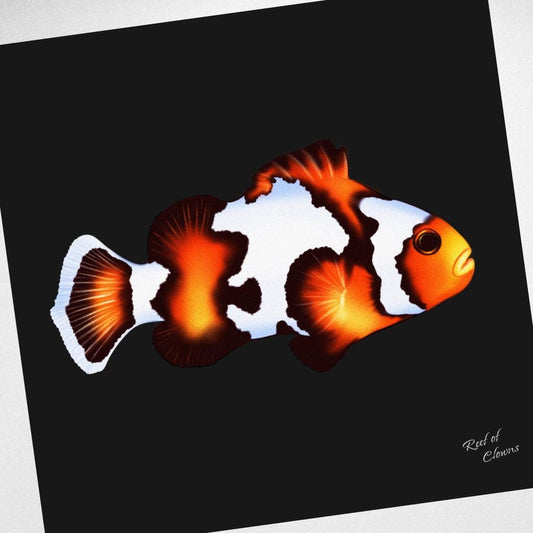 Designer Clownfish Canvas Wall Art