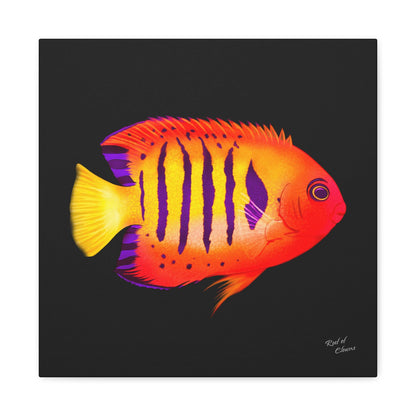 Flame Angelfish Canvas Wall Art