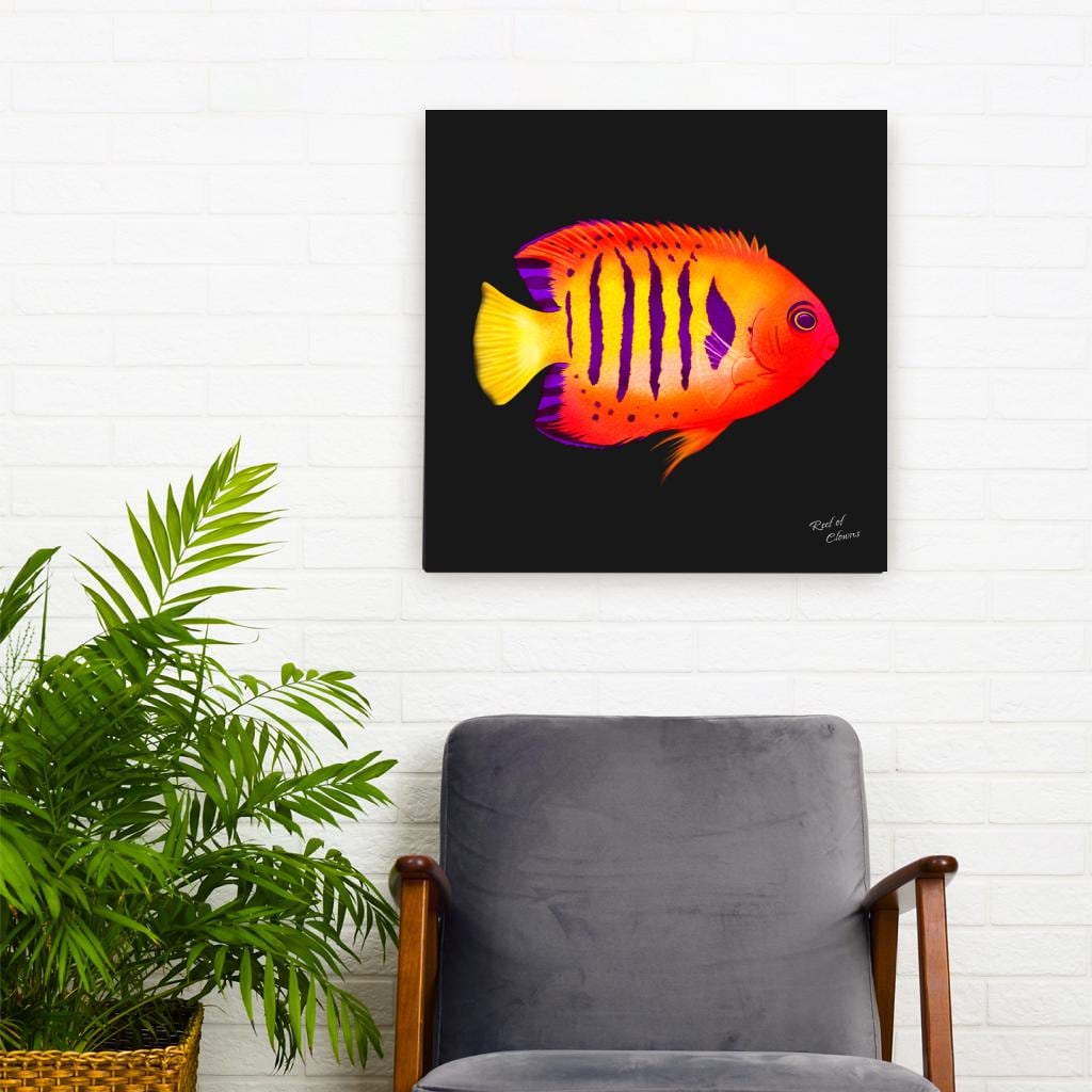 Flame Angelfish Canvas Wall Art