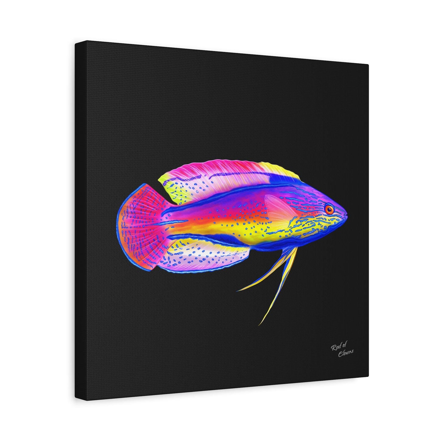 Super Male Lineatus Wrasse Canvas Wall Art