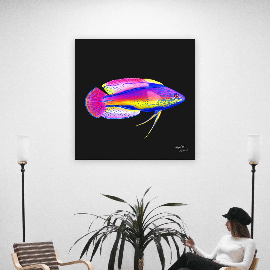 Super Male Lineatus Wrasse Canvas Wall Art
