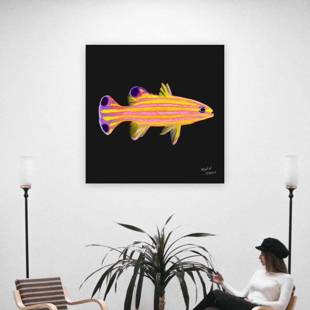 Candy Basslet Canvas Wall Art