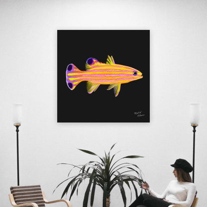 Candy Basslet Canvas Wall Art
