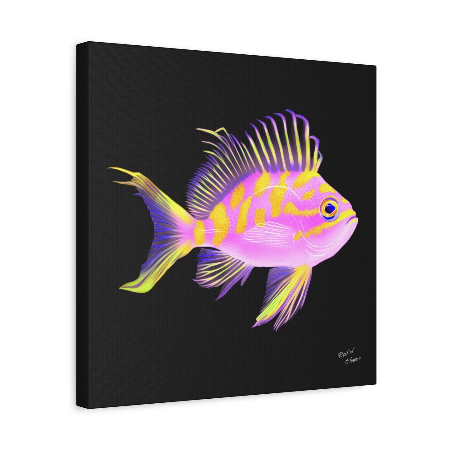 Borbonius Blotched Anthias Canvas Wall Art