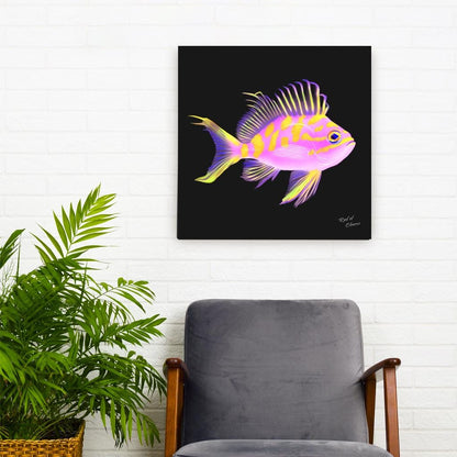 Borbonius Blotched Anthias Canvas Wall Art
