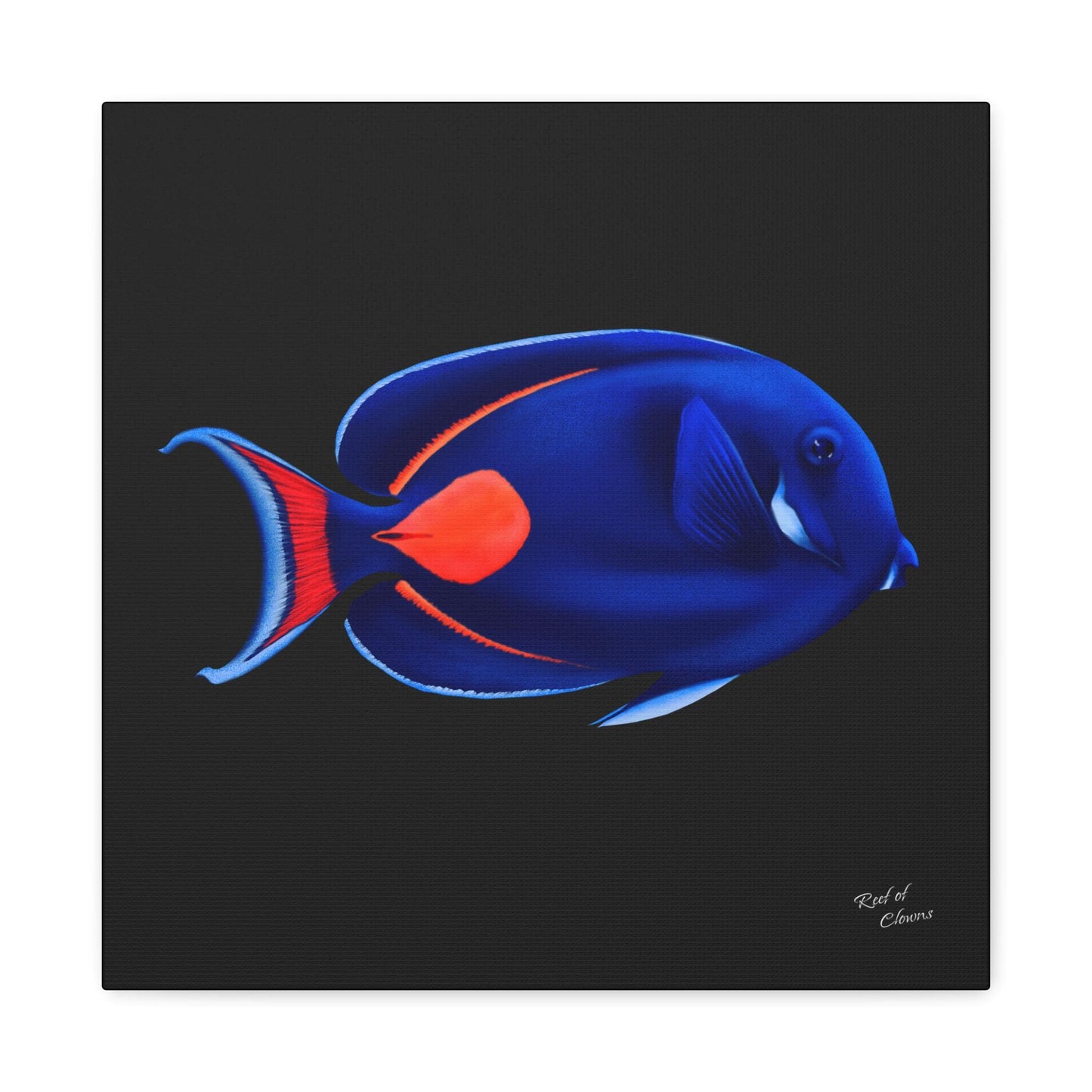 Achilles Tang Canvas Wall Art
