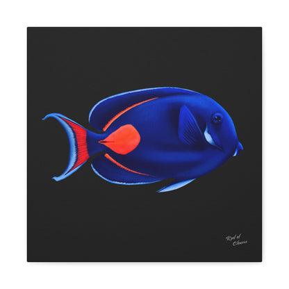 Achilles Tang Canvas Wall Art