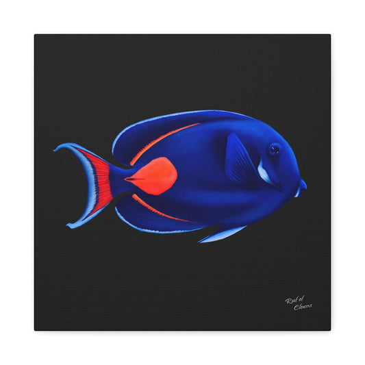 Achilles Tang Canvas Wall Art