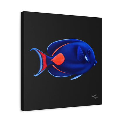 Achilles Tang Canvas Wall Art