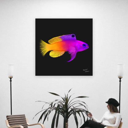 Royal Gramma Canvas Wall Art