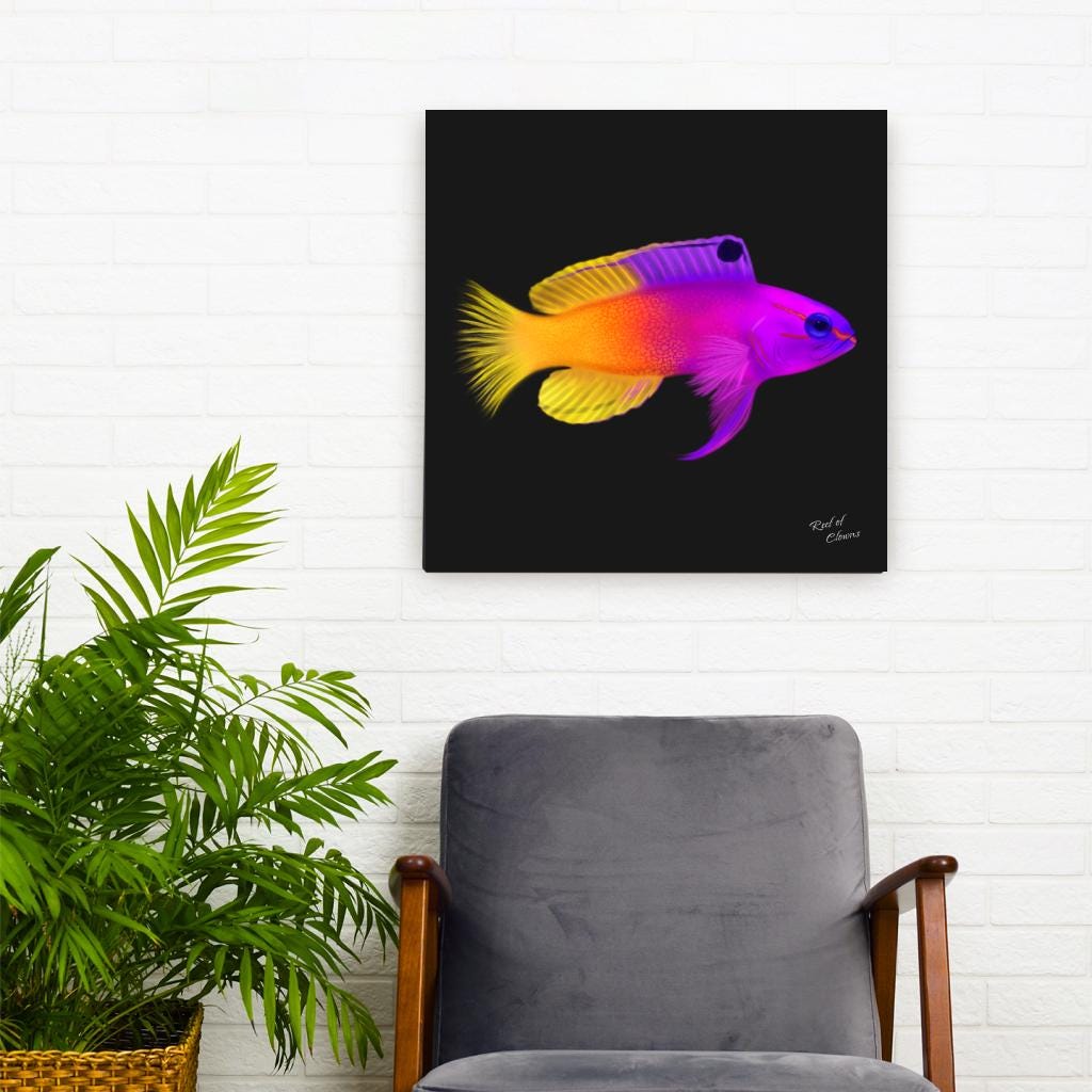 Royal Gramma Canvas Wall Art