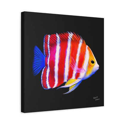 Peppermint Angelfish Canvas Wall Art