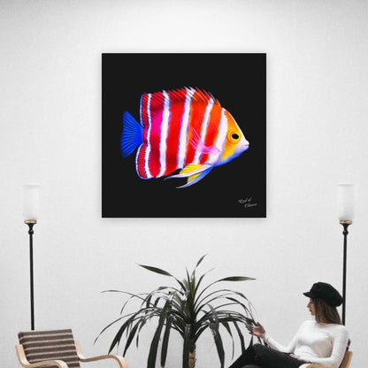 Peppermint Angelfish Canvas Wall Art