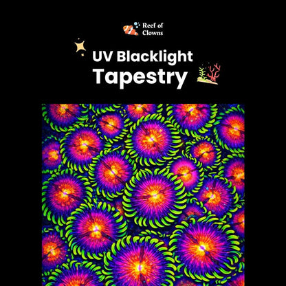 WWC Mambo Jambo Zoanthid