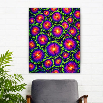 WWC Mambo Jambo Zoanthid