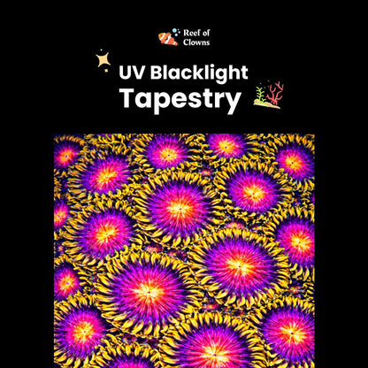 Vivid Nightmare Zoanthids