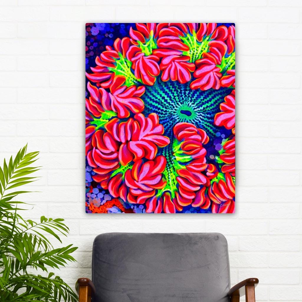 Ultra Rockflower Anemone