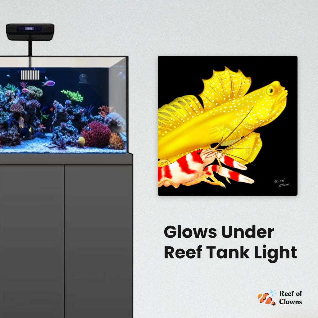 Watchman Goby and Pistol Shrimp