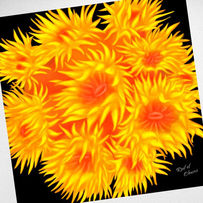 Sun Coral