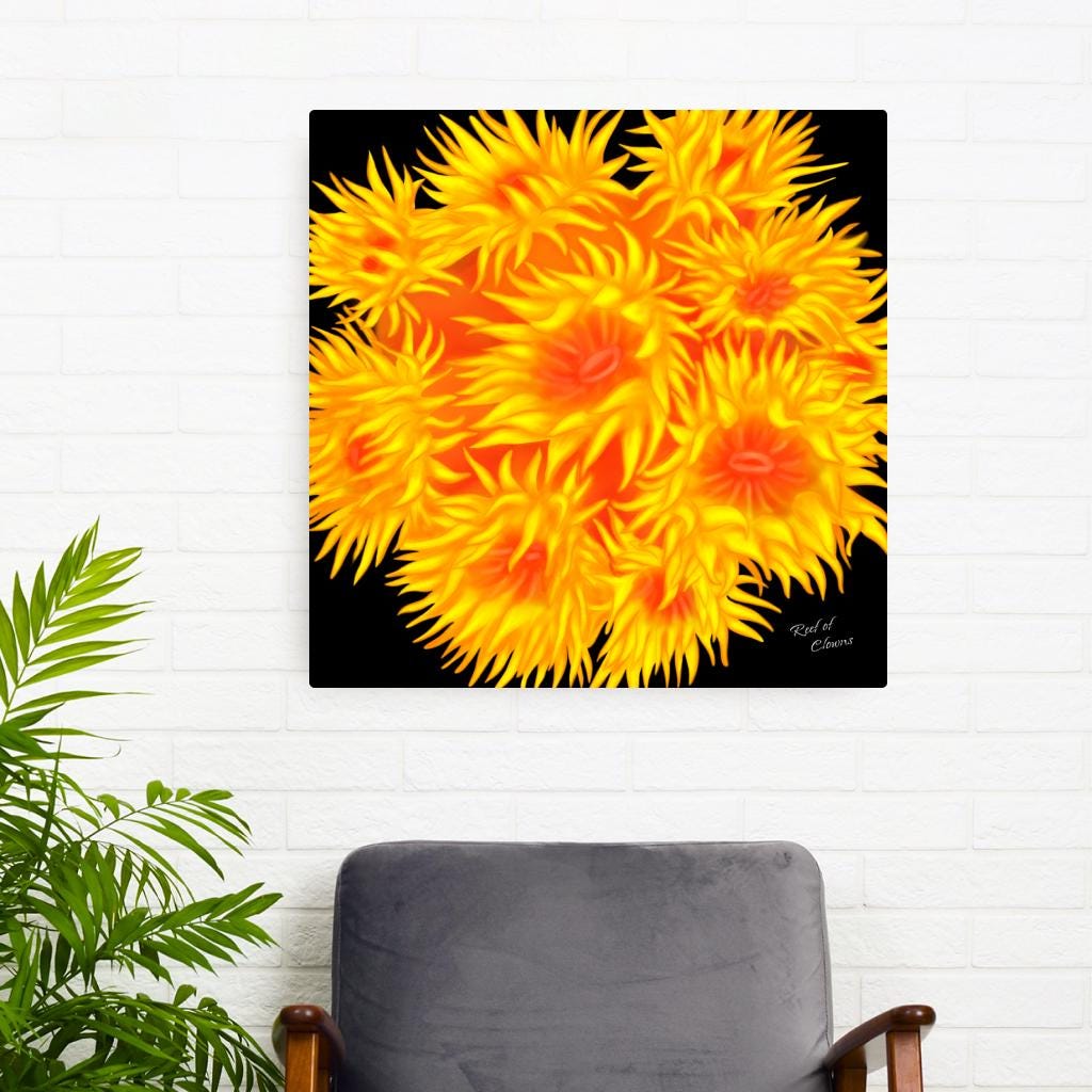 Sun Coral