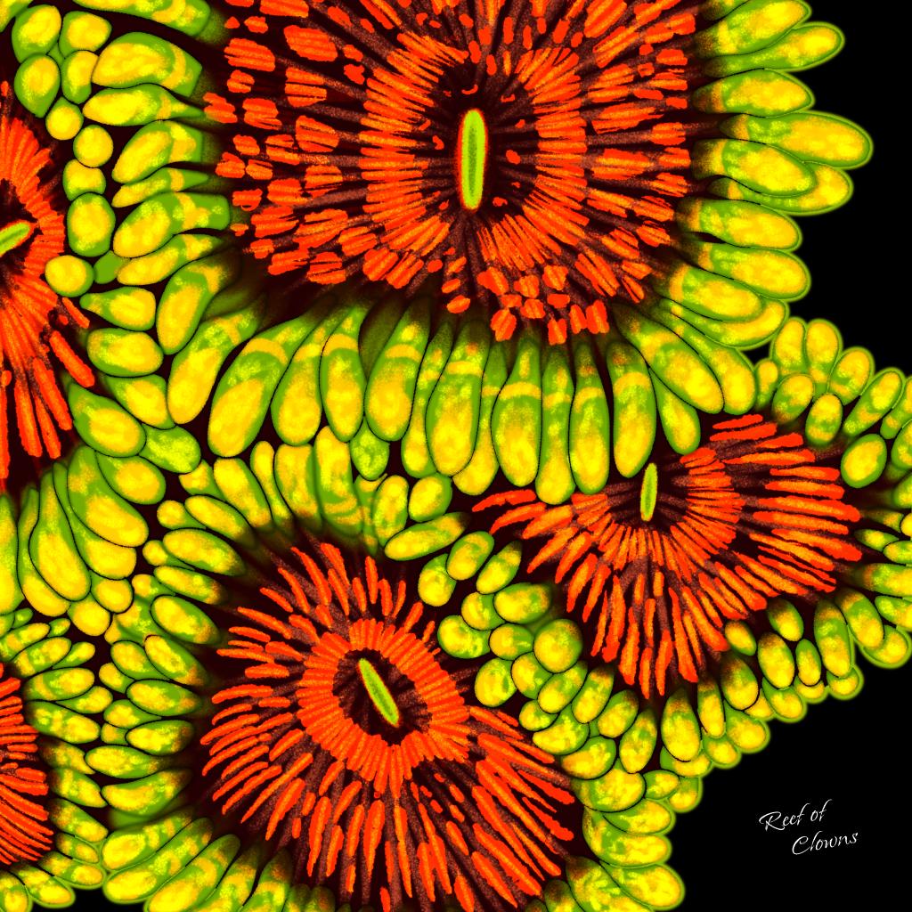 Grandmaster Kraktoa Zoanthid